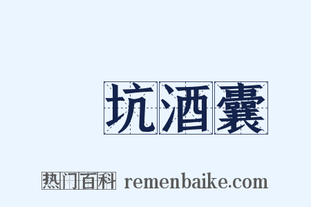 飯坑酒囊是什么意思的图片